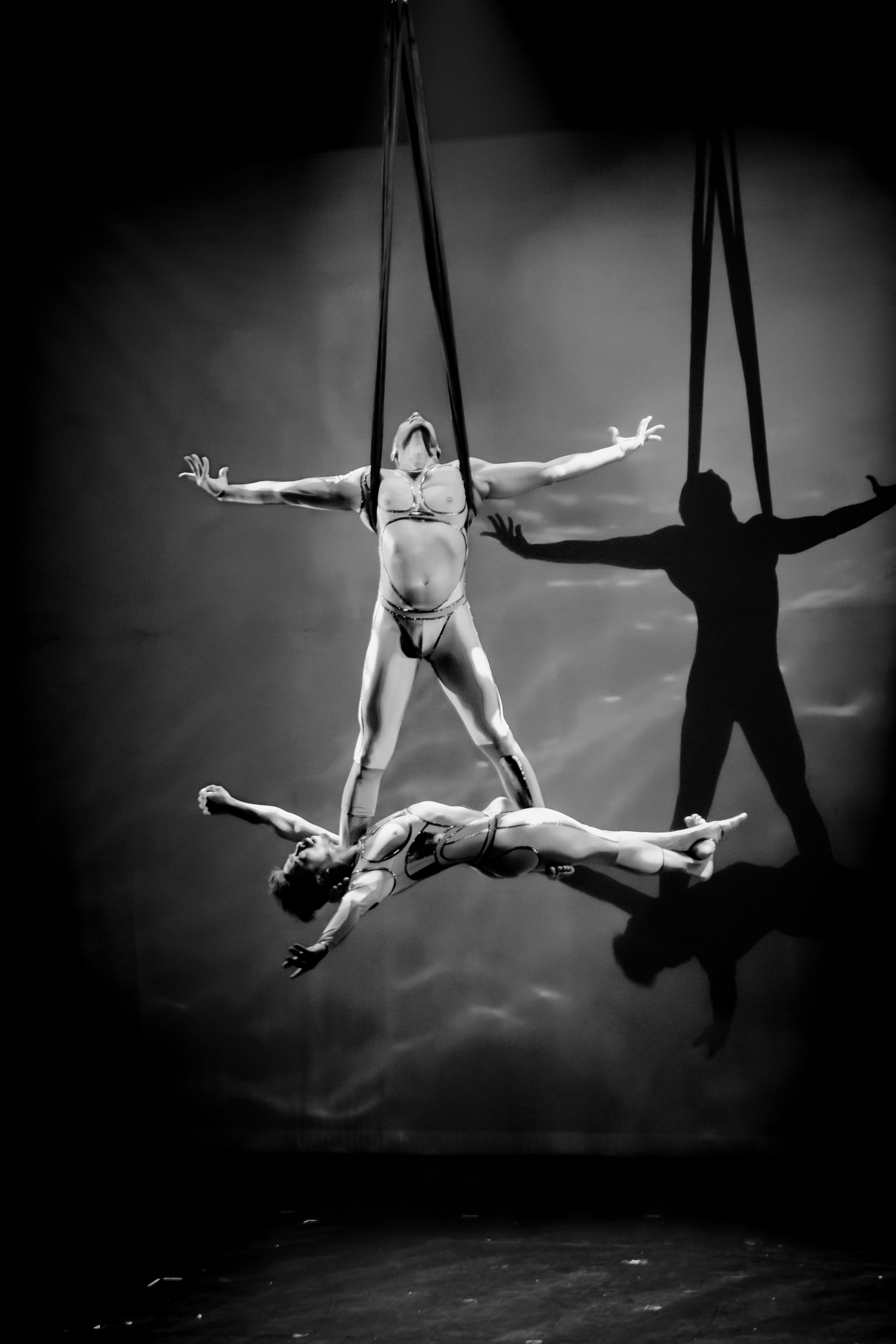 AirOtic Soirée aerial performance